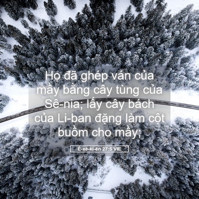 Picture 05 - Ê-xê-ki-ên 27:5 VIE - Họ đã ghép ván của mầy bằng cây - Bible Verse Picture