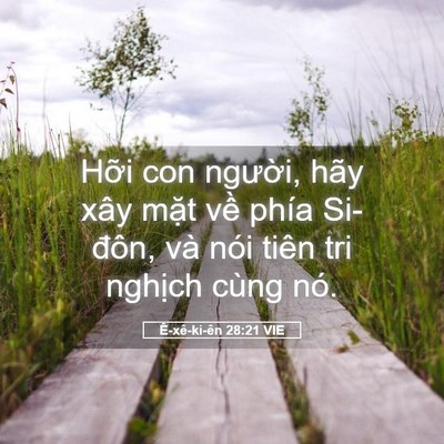 Picture 05 - Ê-xê-ki-ên 28:21 VIE - Hỡi con người, hãy xây mặt về phía - Bible Verse Picture