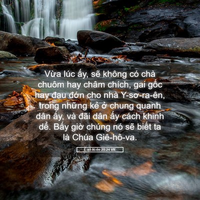 Picture 05 - Ê-xê-ki-ên 28:24 VIE - Vừa lúc ấy, sẽ không có chà chuôm hay - Bible Verse Picture