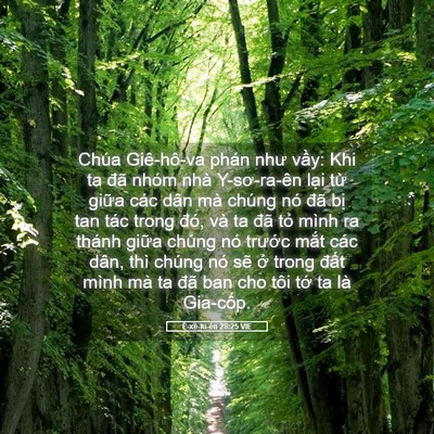 Picture 05 - Ê-xê-ki-ên 28:25 VIE - Chúa Giê-hô-va phán như vầy: Khi ta đã - Bible Verse Picture