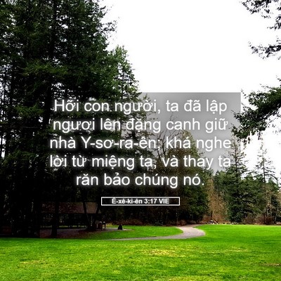 Picture 05 - Ê-xê-ki-ên 3:17 VIE - Hỡi con người, ta đã lập ngươi lên - Bible Verse Picture