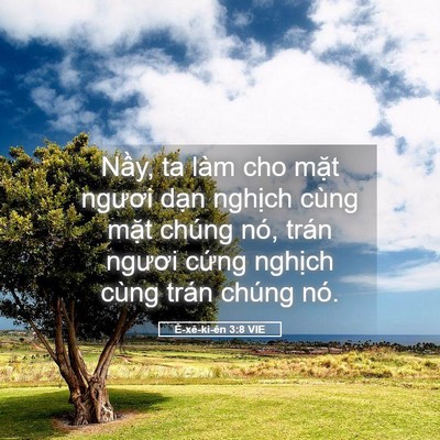 Picture 05 - Ê-xê-ki-ên 3:8 VIE - Nầy, ta làm cho mặt ngươi dạn nghịch - Bible Verse Picture