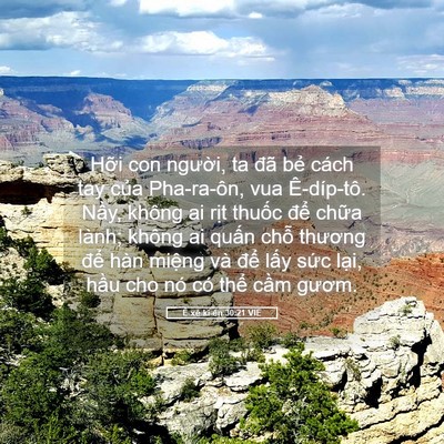 Picture 05 - Ê-xê-ki-ên 30:21 VIE - Hỡi con người, ta đã bẻ cách tay của - Bible Verse Picture