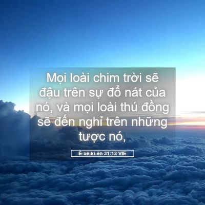 Picture 05 - Ê-xê-ki-ên 31:13 VIE - Mọi loài chim trời sẽ đậu trên sự - Bible Verse Picture