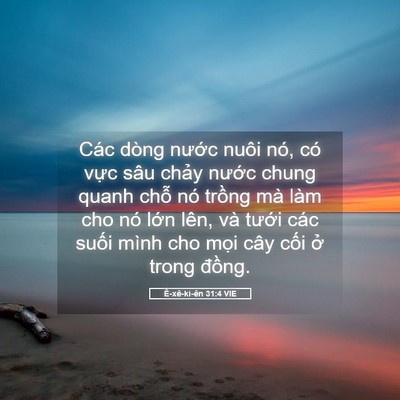 Picture 05 - Ê-xê-ki-ên 31:4 VIE - Các dòng nước nuôi nó, có vực sâu - Bible Verse Picture