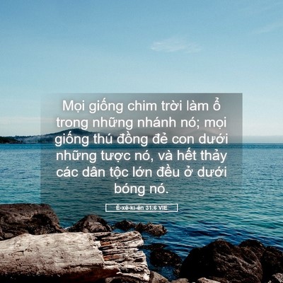 Picture 05 - Ê-xê-ki-ên 31:6 VIE - Mọi giống chim trời làm ổ trong những - Bible Verse Picture
