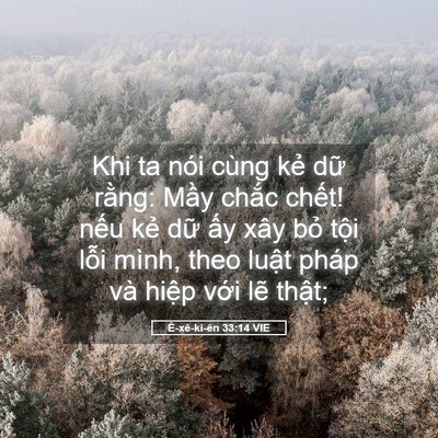 Picture 05 - Ê-xê-ki-ên 33:14 VIE - Khi ta nói cùng kẻ dữ rằng: Mầy chắc - Bible Verse Picture