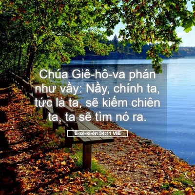Picture 05 - Ê-xê-ki-ên 34:11 VIE - Chúa Giê-hô-va phán như vầy: Nầy, chính - Bible Verse Picture