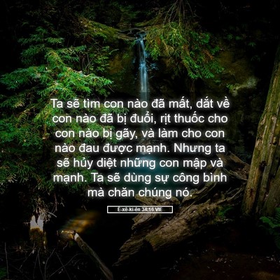 Picture 05 - Ê-xê-ki-ên 34:16 VIE - Ta sẽ tìm con nào đã mất, dắt về con - Bible Verse Picture