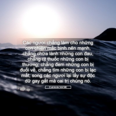 Picture 05 - Ê-xê-ki-ên 34:4 VIE - Các ngươi chẳng làm cho những con chiên - Bible Verse Picture