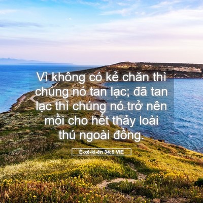 Picture 05 - Ê-xê-ki-ên 34:5 VIE - Vì không có kẻ chăn thì chúng nó tan - Bible Verse Picture