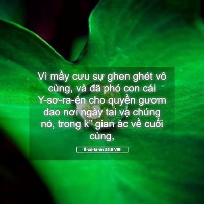 Picture 05 - Ê-xê-ki-ên 35:5 VIE - Vì mầy cưu sự ghen ghét vô cùng, và - Bible Verse Picture