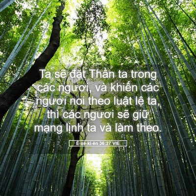 Picture 05 - Ê-xê-ki-ên 36:27 VIE - Ta sẽ đặt Thần ta trong các ngươi, và - Bible Verse Picture