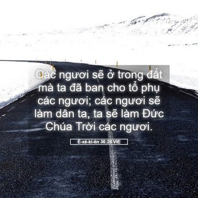 Picture 05 - Ê-xê-ki-ên 36:28 VIE - Các ngươi sẽ ở trong đất mà ta đã - Bible Verse Picture