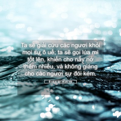 Picture 05 - Ê-xê-ki-ên 36:29 VIE - Ta sẽ giải cứu các ngươi khỏi mọi - Bible Verse Picture