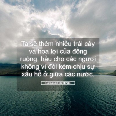 Picture 05 - Ê-xê-ki-ên 36:30 VIE - Ta sẽ thêm nhiều trái cây và hoa lợi - Bible Verse Picture