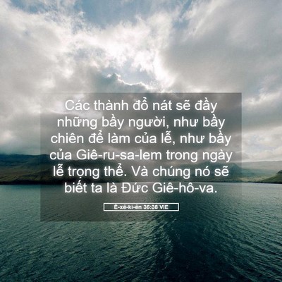 Picture 05 - Ê-xê-ki-ên 36:38 VIE - Các thành đổ nát sẽ đầy những bầy - Bible Verse Picture