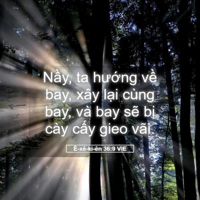 Picture 05 - Ê-xê-ki-ên 36:9 VIE - Nầy, ta hướng về bay, xây lại cùng - Bible Verse Picture