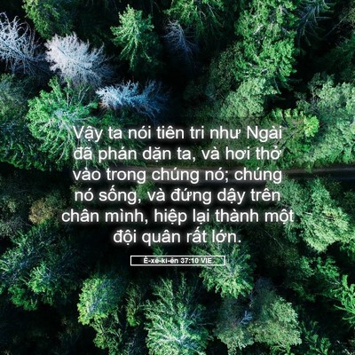 Picture 05 - Ê-xê-ki-ên 37:10 VIE - Vậy ta nói tiên tri như Ngài đã phán - Bible Verse Picture
