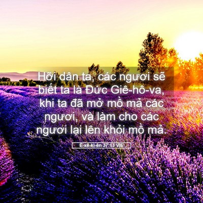 Picture 05 - Ê-xê-ki-ên 37:13 VIE - Hỡi dân ta, các ngươi sẽ biết ta là - Bible Verse Picture