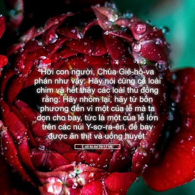 Picture 05 - Ê-xê-ki-ên 39:17 VIE - Hỡi con người, Chúa Giê-hô-va phán như - Bible Verse Picture