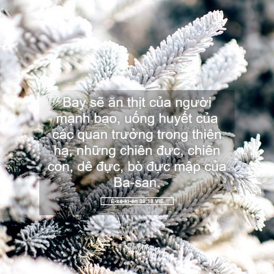 Picture 05 - Ê-xê-ki-ên 39:18 VIE - Bay sẽ ăn thịt của người mạnh bạo, - Bible Verse Picture