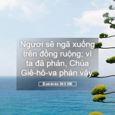 Picture 05 - Ê-xê-ki-ên 39:5 VIE - Ngươi sẽ ngã xuống trên đồng ruộng; - Bible Verse Picture