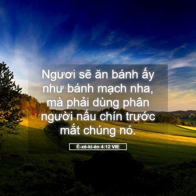 Picture 05 - Ê-xê-ki-ên 4:12 VIE - Ngươi sẽ ăn bánh ấy như bánh mạch - Bible Verse Picture