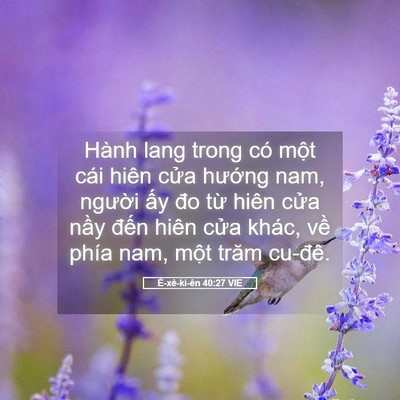 Picture 05 - Ê-xê-ki-ên 40:27 VIE - Hành lang trong có một cái hiên cửa - Bible Verse Picture