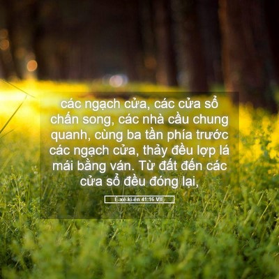 Picture 05 - Ê-xê-ki-ên 41:16 VIE - các ngạch cửa, các cửa sổ chấn song, - Bible Verse Picture