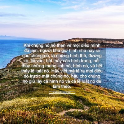 Picture 05 - Ê-xê-ki-ên 43:11 VIE - Khi chúng nó hổ thẹn về mọi điều - Bible Verse Picture