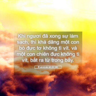 Picture 05 - Ê-xê-ki-ên 43:23 VIE - Khi ngươi đã xong sự làm sạch, thì khá - Bible Verse Picture