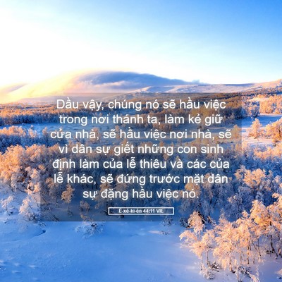 Picture 05 - Ê-xê-ki-ên 44:11 VIE - Dầu vậy, chúng nó sẽ hầu việc trong - Bible Verse Picture