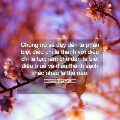 Picture 05 - Ê-xê-ki-ên 44:23 VIE - Chúng nó sẽ dạy dân ta phân biệt - Bible Verse Picture