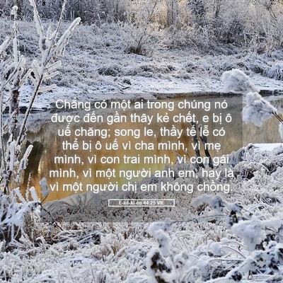 Picture 05 - Ê-xê-ki-ên 44:25 VIE - Chẳng có một ai trong chúng nó được - Bible Verse Picture