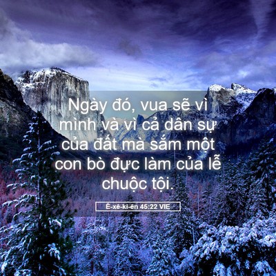 Picture 05 - Ê-xê-ki-ên 45:22 VIE - Ngày đó, vua sẽ vì mình và vì cả dân - Bible Verse Picture