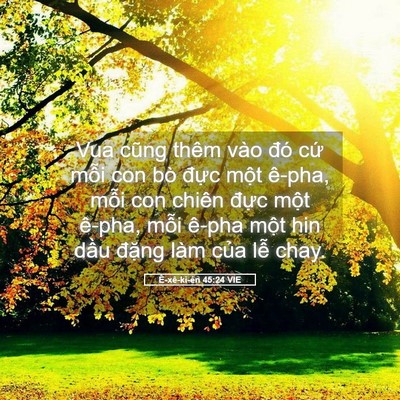 Picture 05 - Ê-xê-ki-ên 45:24 VIE - Vua cũng thêm vào đó cứ mỗi con bò - Bible Verse Picture