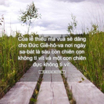 Picture 05 - Ê-xê-ki-ên 46:4 VIE - Của lễ thiêu mà vua sẽ dâng cho Đức - Bible Verse Picture