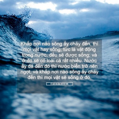Picture 05 - Ê-xê-ki-ên 47:9 VIE - Khắp nơi nào sông ấy chảy đến, thì - Bible Verse Picture