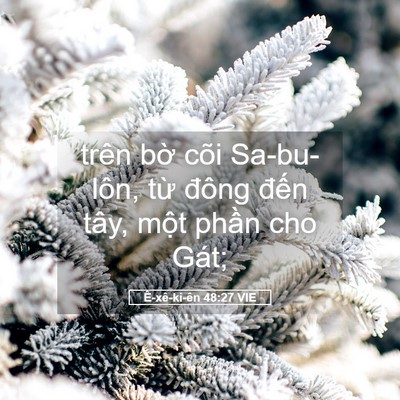 Picture 05 - Ê-xê-ki-ên 48:27 VIE - trên bờ cõi Sa-bu-lôn, từ đông đến - Bible Verse Picture