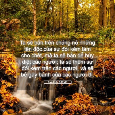 Picture 05 - Ê-xê-ki-ên 5:16 VIE - Ta sẽ bắn trên chúng nó những tên - Bible Verse Picture