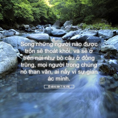 Picture 05 - Ê-xê-ki-ên 7:16 VIE - Song những người nào được trốn sẽ - Bible Verse Picture