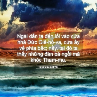 Picture 05 - Ê-xê-ki-ên 8:14 VIE - Ngài dẫn ta đến lối vào cửa nhà - Bible Verse Picture