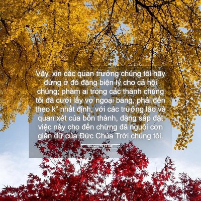Picture 05 - Ê-xơ-ra 10:14 VIE - Vậy, xin các quan trưởng chúng tôi hãy - Bible Verse Picture