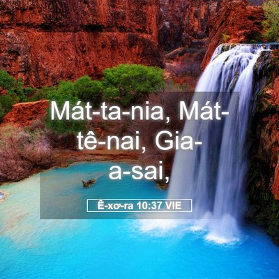 Picture 05 - Ê-xơ-ra 10:37 VIE - Mát-ta-nia, Mát-tê-nai, - Bible Verse Picture