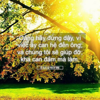 Picture 05 - Ê-xơ-ra 10:4 VIE - Oâng hãy đứng dậy, vì việc ầy can - Bible Verse Picture