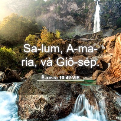 Picture 05 - Ê-xơ-ra 10:42 VIE - Sa-lum, A-ma-ria, và - Bible Verse Picture