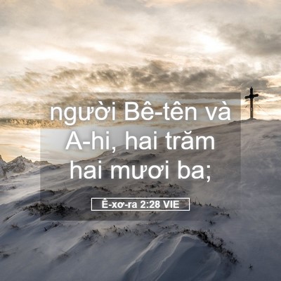 Picture 05 - Ê-xơ-ra 2:28 VIE - người Bê-tên và A-hi, hai trăm hai mươi - Bible Verse Picture