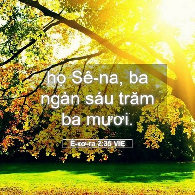 Picture 05 - Ê-xơ-ra 2:35 VIE - họ Sê-na, ba ngàn sáu trăm ba - Bible Verse Picture