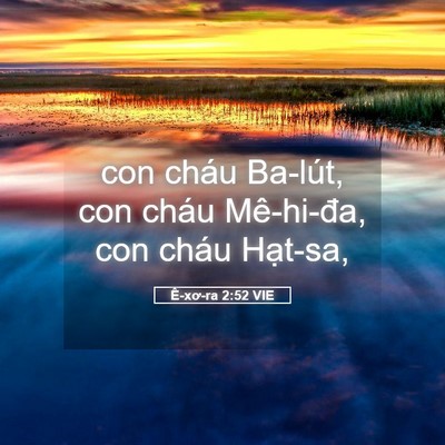 Picture 05 - Ê-xơ-ra 2:52 VIE - con cháu Ba-lút, con cháu Mê-hi-đa, con - Bible Verse Picture
